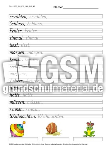 DSS_2S_FW_100_NR_43.pdf